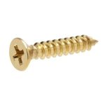 11/2" Brass screw thick