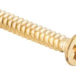 21/2" Brass screw thick